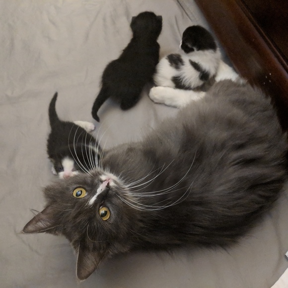 Here for Gaia and Healing! - Picture 8 of 8